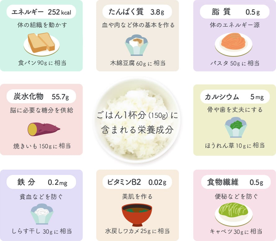 ごはん1杯分(150g)に含まれる栄養成分:エネルギー252kcal 体の組織を動かす 食パン90gに相当、たんぱく質3.8g 血や肉など体の基本を作る 木綿豆腐60gに相当、脂質0.5g 体のエネルギー源 パスタ50gに相当、炭水化物55.7g 脳に必要な糖分を供給 焼きいも150gに相当、カルシウム5mg 骨や歯を丈夫にする ほうれん草10gに相当、鉄分0.2mg 貧血などを防ぐ しらす干し30gに相当、ビタミンB2 0.02g 美肌を作る 水戻しワカメ25gに相当、食物繊維0.5g 便秘などを防ぐ キャベツ30に相当