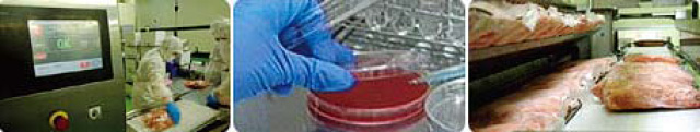 The X-rays scanning / Bacter ia inspection / Cont invation-stayle defrosting machine