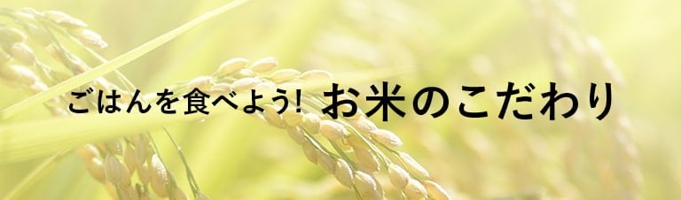 ごはんを食べよう！お米のこだわり