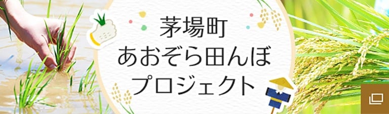 あおぞら田んぼプロジェクト