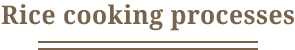 Rice cooking processes