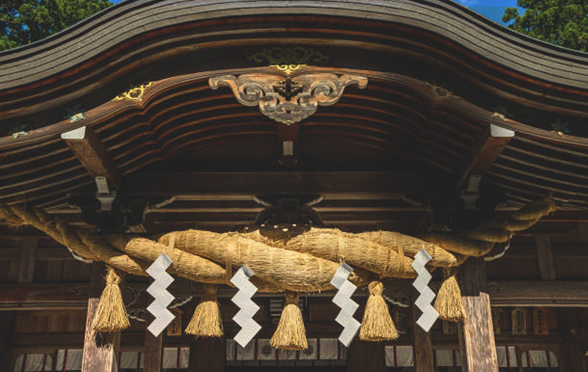 写真: