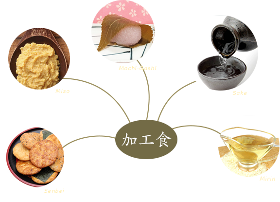 日本をつくった米 | 米ライブラリー | Plenus 米食文化研究所