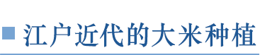 江户近代的大米种植