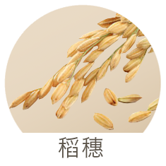 稻穗