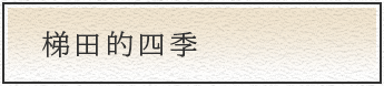梯田的四季