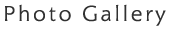 Photo Galley