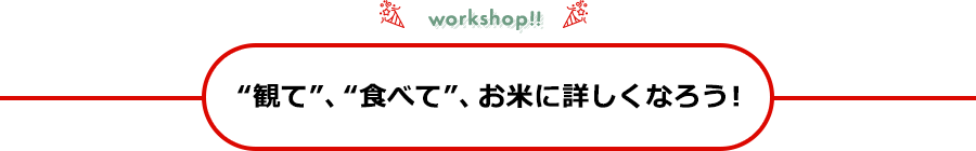 “観て”、“食べて”、お米に詳しくなろう！