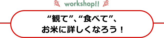 “観て”、“食べて”、お米に詳しくなろう！