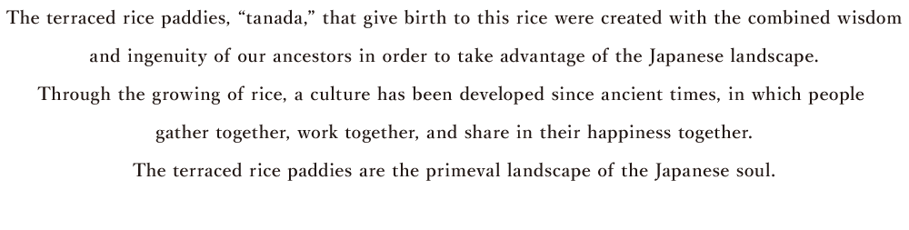 The terraced rice paddies, "tanada," that give birth to this rice were created with the combined wisdom and ingenuity of our ancestors in order to take advantage of the Japanese landscape. Through the growing of rice, a culture has been developed since ancient times, in which people gather together, work together, and share in their happiness together.The terraced rice paddies are the primeval landscape of the Japanese soul.