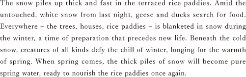 The snow piles up thick and fast in the terraced rice paddies. Amid the untouched, white snow from last night, geese and ducks search for food. Everywhere – the trees, houses, rice paddies – is blanketed in snow during the winter, a time of preparation that precedes new life. Beneath the cold snow, creatures of all kinds defy the chill of winter, longing for the warmth of spring. When spring comes, the thick piles of snow will become pure spring water, ready to nourish the rice paddies once again.