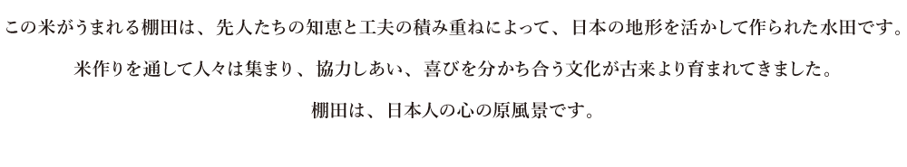 この米がうまれる棚田は、先人たちの知恵と工夫の積み重ねによって、日本の地形を活かして作られた水田です。米作りを通して人々は集まり、協力しあい、喜びを分かち合う文化が古来より育まれてきました。棚田は、日本人の心の原風景です。