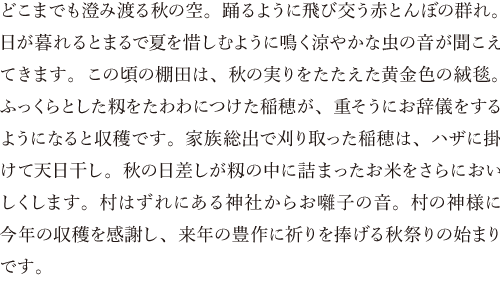 どこまでも澄み渡る秋の空。踊るように飛び交う赤とんぼの群れ。日が暮れるとまるで夏を惜しむように鳴く涼やかな虫の音が聞こえてきます。この頃の棚田は、秋の実りをたたえた黄金色の絨毯。ふっくらとした籾をたわわにつけた稲穂が、重そうにお辞儀をするようになると収穫です。家族総出で刈り取った稲穂は、ハザに掛けて天日干し。秋の日差しが籾の中に詰まったお米をさらにおいしくします。村はずれにある神社からお囃子の音。村の神様に今年の収穫を感謝し、来年の豊作に祈りを捧げる秋祭りの始まりです。