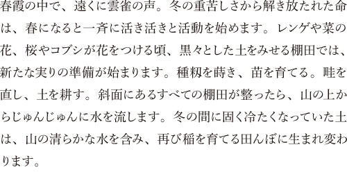 春霞の中で、遠くに雲雀の声。冬の重苦しさから解き放たれた命は、春になると一斉に活き活きと活動を始めます。レンゲや菜の花、桜やコブシが花をつける頃、黒々とした土をみせる棚田では、新たな実りの準備が始まります。種籾を蒔き、苗を育てる。畦を直し、土を耕す。斜面にあるすべての棚田が整ったら、山の上からじゅんじゅんに水を流します。冬の間に固く冷たくなっていた土は、山の清らかな水を含み、再び稲を育てる田んぼに生まれ変わります。